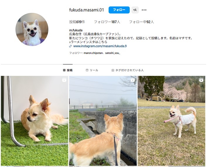 わんこインスタ